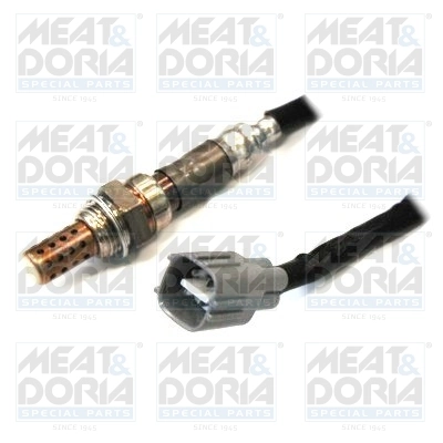 Oxygen Sensor